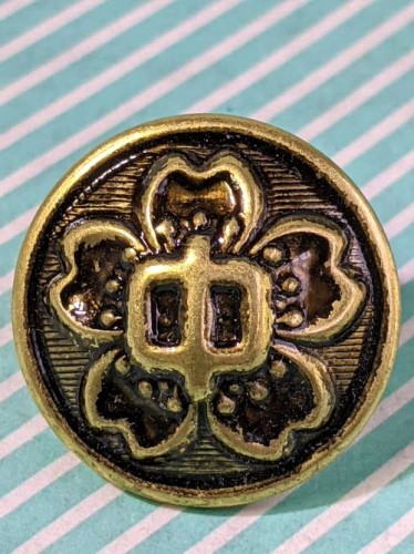【ボタン】学生服　学ラン　桜　前ボタン 中学生　5個